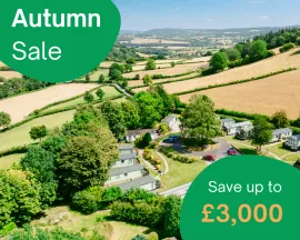 Autumn Sale