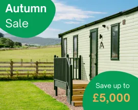 Autumn Sale