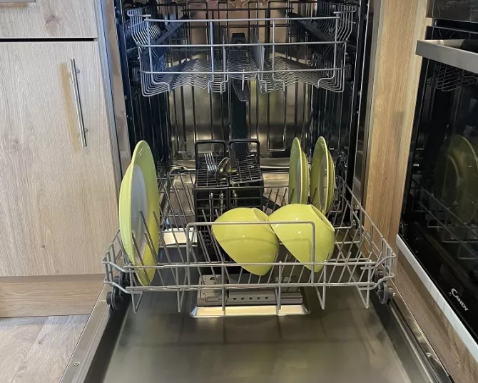 Damselfly dishwasher