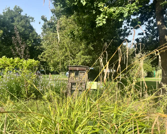 Bug House Lickhill Manor