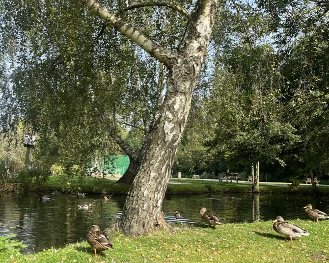 Lickhill Lake 