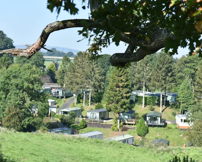 The Glen Caravan Park