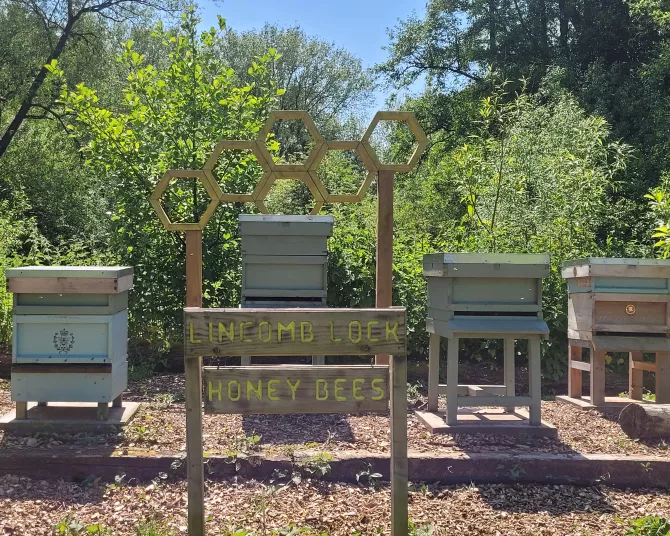 Lincomb Lock - bee hives