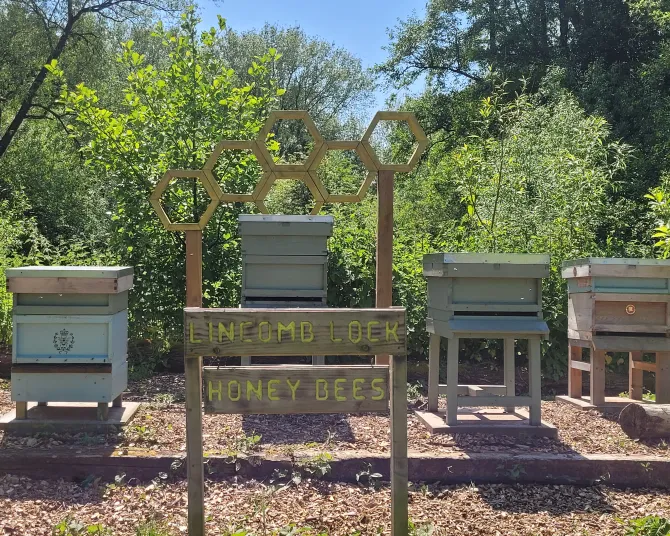 Lincomb Lock - bee hives