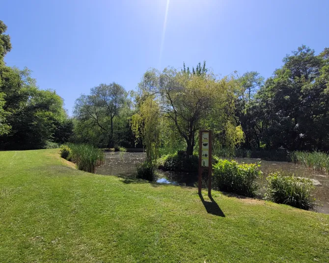 Lincomb Lock - pond