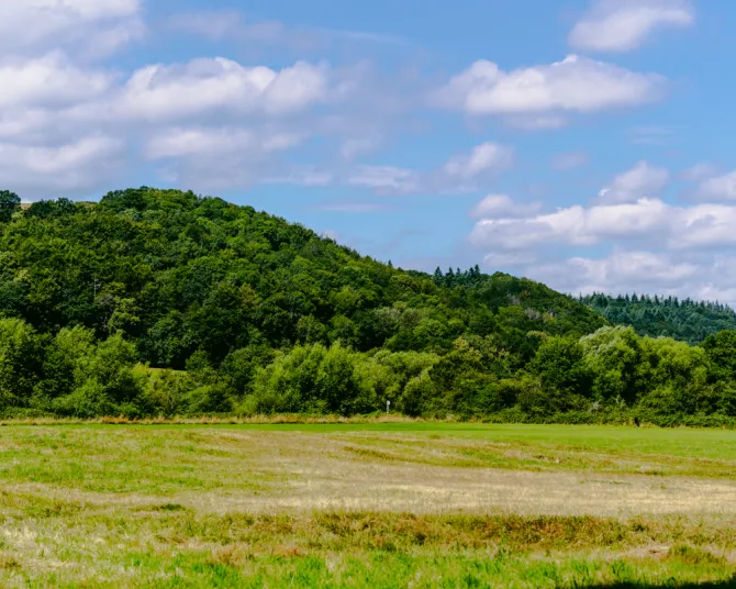 Lickhill 