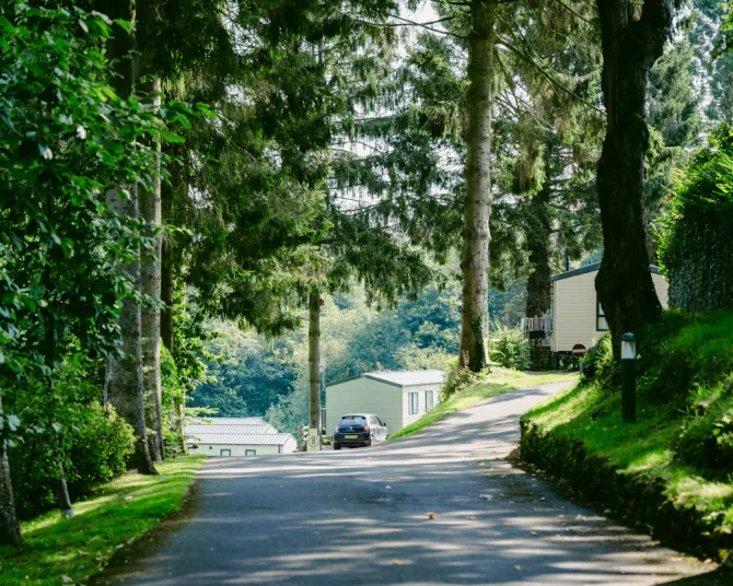 The Glen