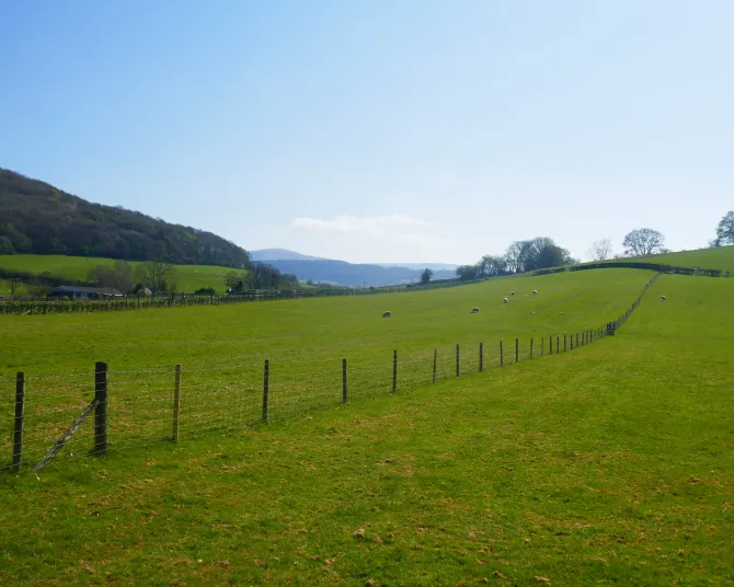 Hay-on-Wye 
