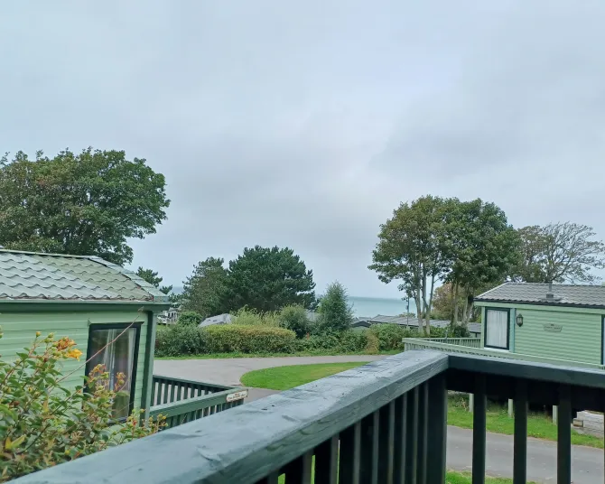 view