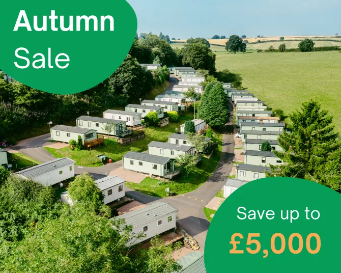 Autumn Sale