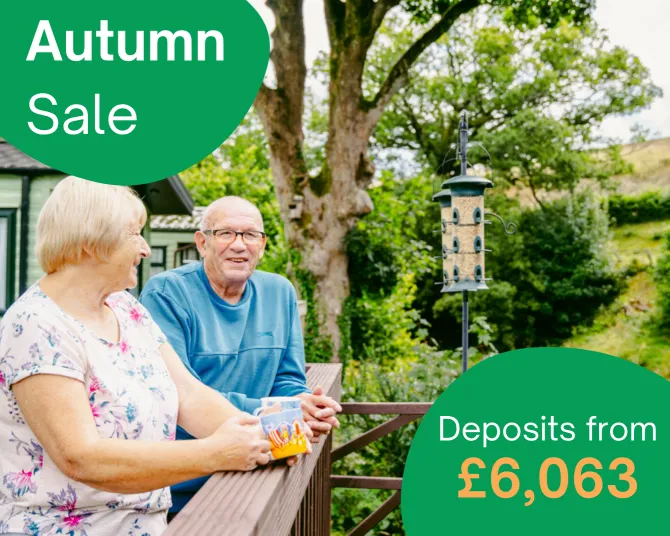 Autumn Sale