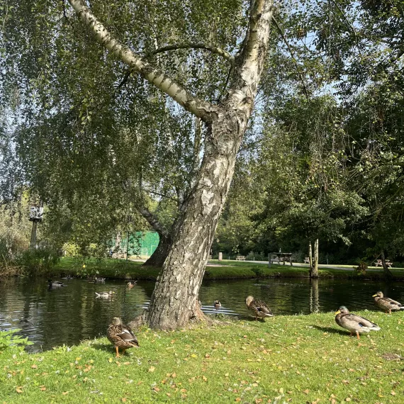 Lickhill Lake