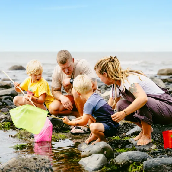 Holiday Home Hire