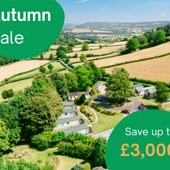 Autumn Sale
