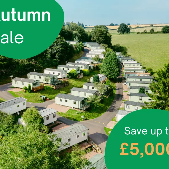 Autumn Sale