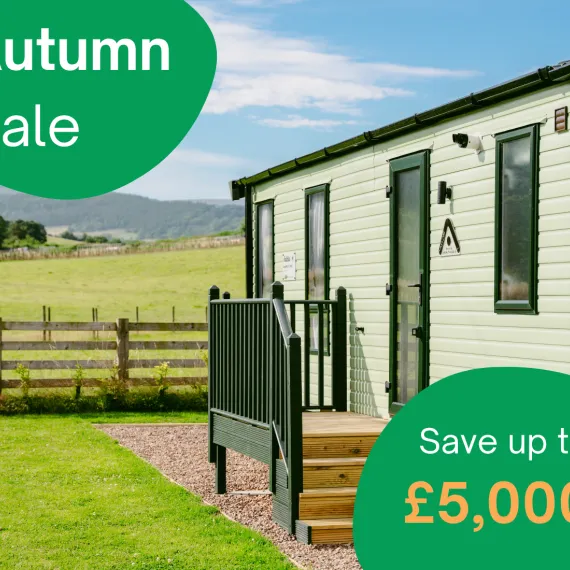 Autumn Sale