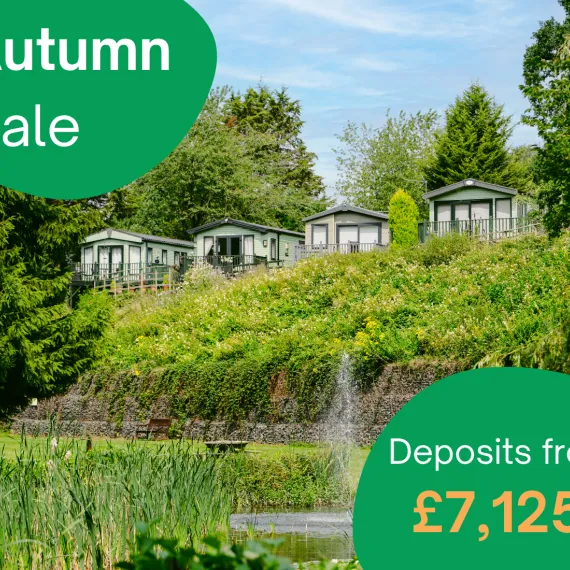 Autumn Sale