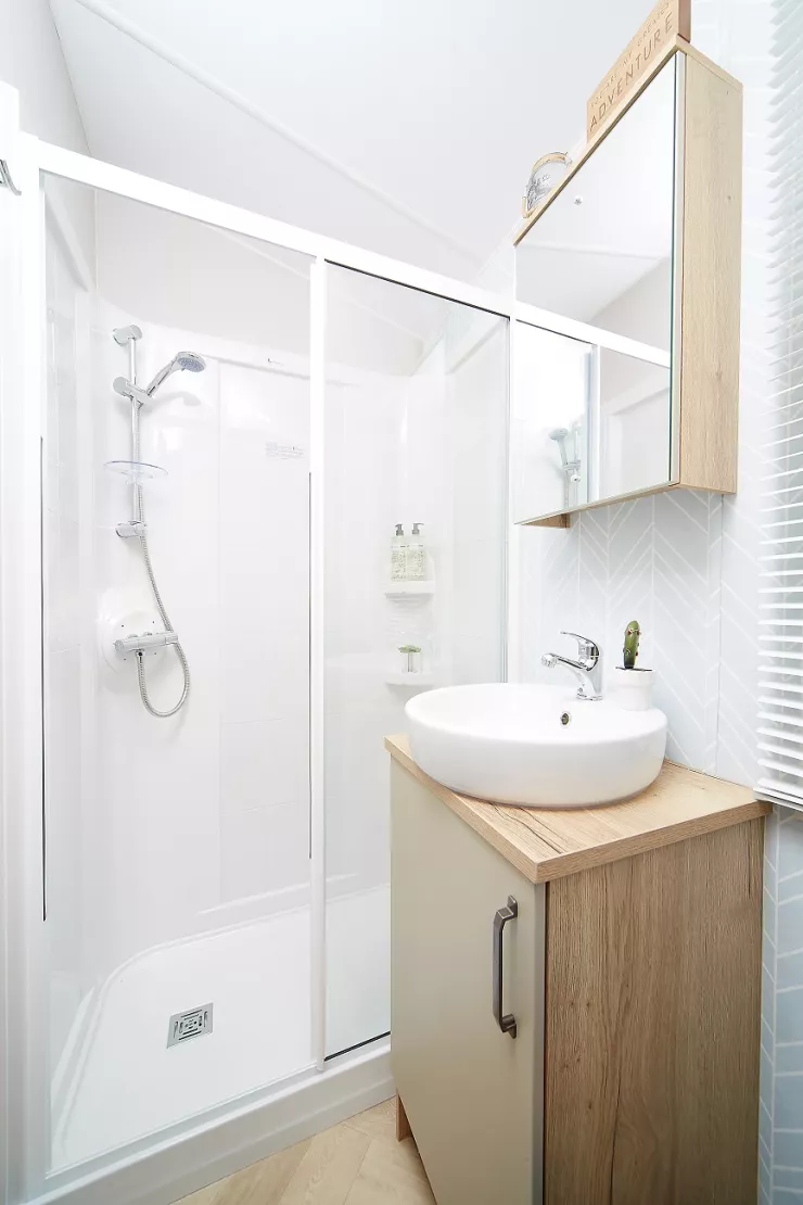 Jubilee Hornet shower room